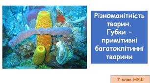 Презентація на тему "Різноманітність тварин. Губки – примітивні багатоклітинні тварини" 7 кл НУШ