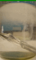 0603fns8-c6e9-120x200.png