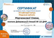   Педагогічний проект "У майстерні митця. Модульне орігамі"