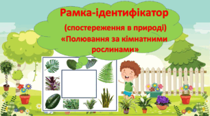 Спостереження в природі. Рамка-ідентифікатор "Полювання за кімнатною рослиною"