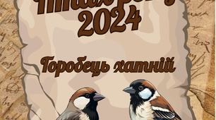 Лепбук "Птах року 2024 Горобець хатній"