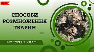Способи розмноження тварин