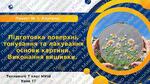 7 клас НУШ Технології. Урок 17. Підготовка поверхні. Тонування та ...