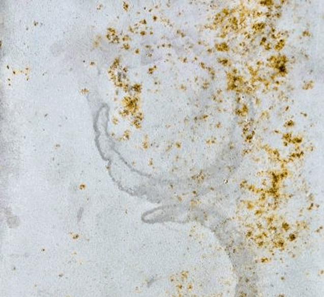 0603fxns-c2b3-637x583.png