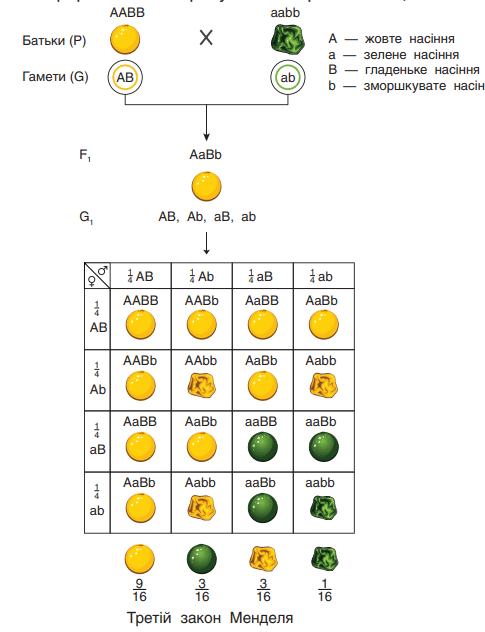 0603fxtj-3be3-485x632.png