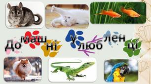 Домашні улюбленці