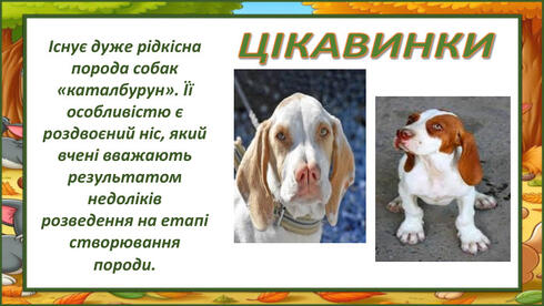 0603g0a6-c4db-490x276.jpg