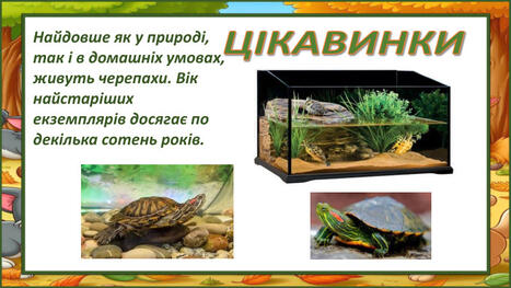0603g0vb-3342-467x263.jpg