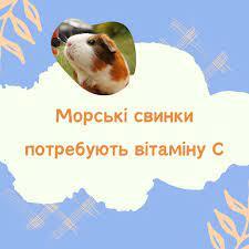 0603g15h-83b5-292x292.jpg
