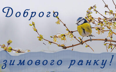 0603g1ax-32c2-400x250.jpg