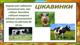 0603g3e9-a590-331x186.jpg