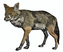 0603g9xa-c2bf-224x182.png