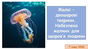 Презентація на тему: "Жалкі – двошарові тварини. Небезпека жалких для здоров’я людини" 7 кл НУШ