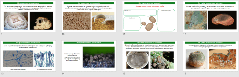 0603gre5-d338-940x303.png