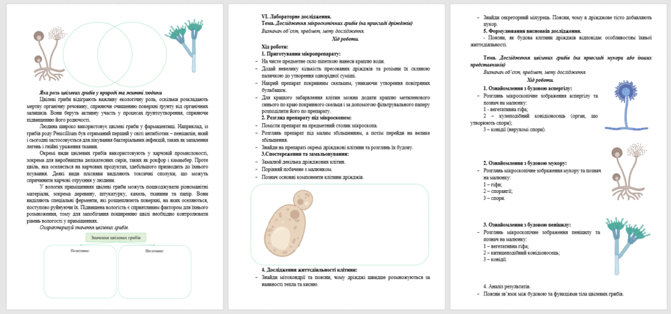 0603grfl-cb12-940x441.png