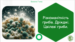 Презентація, конспект уроку та робочі аркуші на тему "Різноманітність грибів. Дріжджі. Цвілеві гриби". 7 клас НУШ