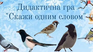 Дидактична гра - відео "Скажи одним словом" (птахи).