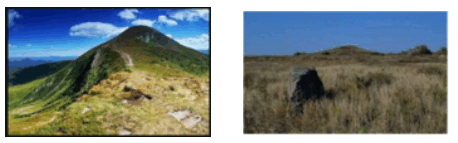 0603gudu-aa3f-458x143.png