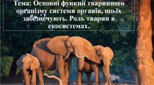 Основні функції тваринного організму системи органів, що їх забезпечують. Роль тварин в екосистемах.