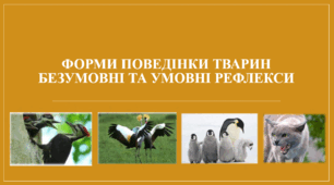 Презентація "Форми поведінки тварин. Умовні та безумовні рефлекси".