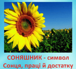 0603gv1w-6260-293x268.png