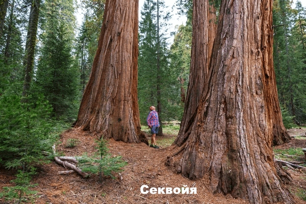 0603gvex-1f13-601x401.png