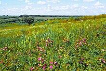 0603gvrw-5307-220x147.jpg