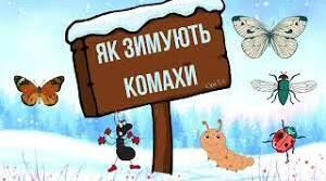 Як зимують комахи та риби (с. 16-18).