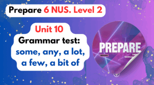 Prepare 6 NUS. Prepare A2. Grammar: some, any, a lot, a few, a bit of. (Unit 10)