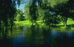0603gy8b-4bba-250x157.gif