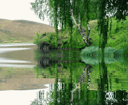 0603gy8k-5029-250x206.gif