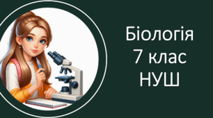 Презентація "Ссавці. Різноманіття ссавців, їхня роль і значення в екосистемах та житті людини" Біологія 7 клас НУШ