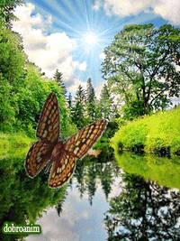 0603gz7i-20fa-200x267.gif