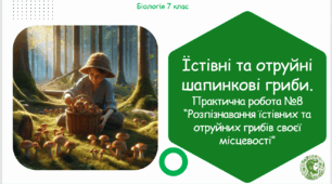 Презентація, конспект уроку та робочі аркуші на тему "Їстівні та отруйні шапинкові гриби. Практична робота №8 «Розпізнавання їстівних та отруйних грибів своєї місцевості»". 7 клас НУШ