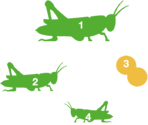 0603h08y-0dae-148x125.png