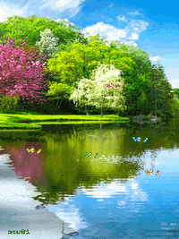 0603h0hg-d4d7-200x267.gif