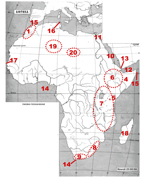0603h11w-de1e-493x604.png