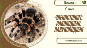 Членистоногі: Ракоподібні. Павукоподібні. 7клас. НУШ