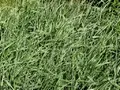 0603h3d2-0a0c-120x90.webp