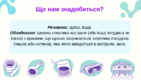 0603h4gs-4f9e-141x80.png