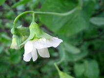 0603h4na-8d36-213x160.jpg