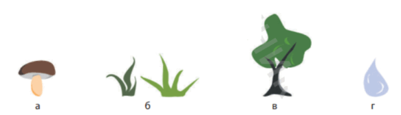 0603h4sb-d466-583x168.png