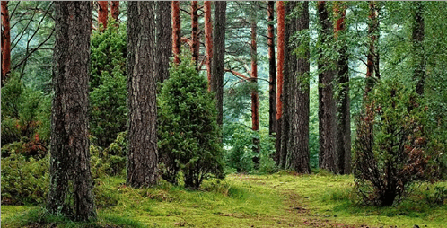 0603h51n-551d-498x254.png