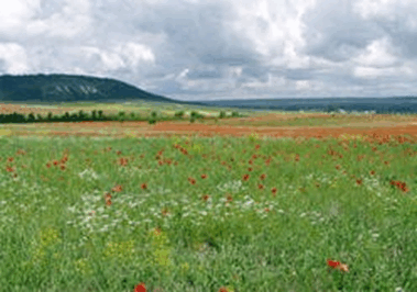 0603h51q-62d5-379x266.png