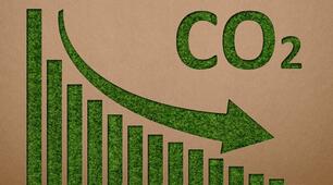  28 січня - Міжнародний день скорочення викидів CO2