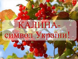 Скарби України - ЧЕРВОНА КАЛИНА - СИМВОЛ УКРАЇНИ. Калина... | Facebook