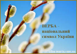 Верба - національний символ України