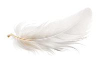 0603h72t-f8d1-194x121.png