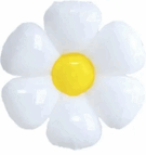 0603h73s-3247-160x170.png