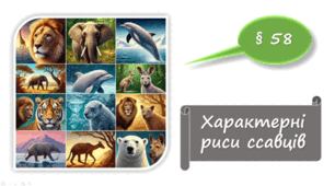   7 клас НУШ. Характерні риси ссавців